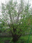 DSC03752.JPG
