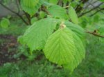 DSC03753.jpg