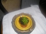 foto2.jpg