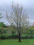DSC03757.JPG