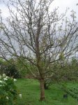 DSC03760.JPG