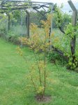 DSC03761.JPG