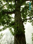 29Abril07 009.jpg