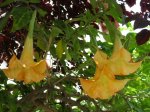 DSCN0088.jpg