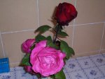 000_0027.JPG
