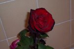 000_0030.JPG