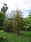 DSC03788.JPG
