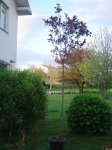 DSC03799.JPG