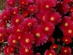 100_1124.jpg