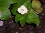 100_1183.jpg