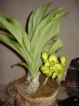 DSC01255.jpg