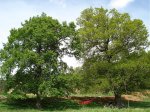 DSC00667.jpg