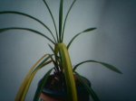 04-05-07_0831.jpg