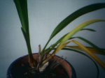 04-05-07_0832.jpg