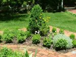 garden%20032.jpg