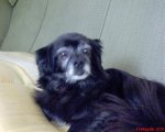 MI JUGUETITO026.jpg