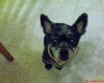 MI JUGUETITO029.jpg