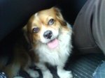 MI JUGUETITO003.jpg