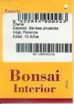 Bonsai.jpg