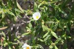 IMG_0987_p.jpg