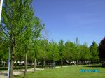 6mayo07 003.jpg
