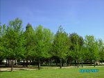 6mayo07 004.jpg