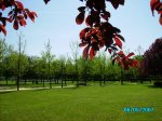 6mayo07 005.jpg