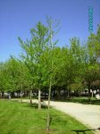 6mayo07 006.jpg