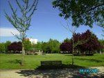 6mayo07 007.jpg