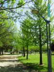 6mayo07 008.jpg