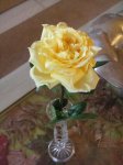 rosa 1.JPG