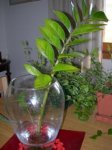 DSCN1569.JPG