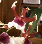 PHOT0431.jpg