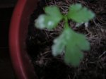 DSCN4985.jpg