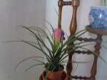 09052007053.jpg
