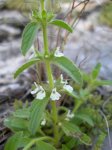 DSCN1781.JPG