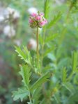 DSCN1785.JPG