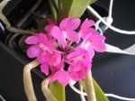 Image00001.jpg