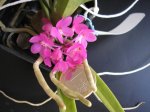 Image00002.jpg