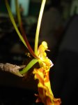 DSC01492.jpg