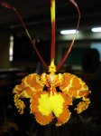 DSC01497.jpg
