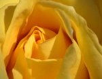 DV00052.jpg
