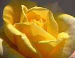 DV00055.jpg
