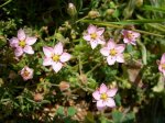 DSCN1832.jpg