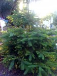 09-05-07_2109.jpg
