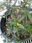 09-05-07_2103.jpg