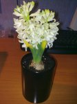 24012011168.jpg