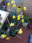 04042011261.jpg
