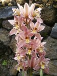 Foto0203.jpg