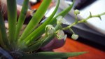 DSC00404.jpg